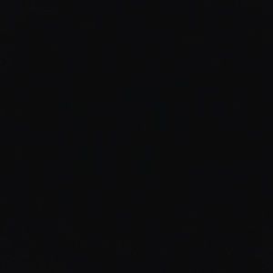 Meet your Posher, Rana